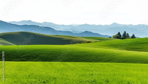 green grass meadow isolated on transparent background