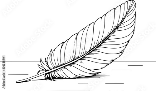  Plume sur plan de travail en bois - Dessin au trait line art, vecteur noir avec contour isolé fond transparent. Style minimaliste, peut convenir a page de livre de coloriage, journal, agenda, cahier.