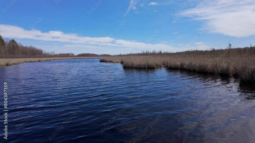 Mer Bleue National conservation area near Ottawa - travel photography Mer Bleue National conservation area near Ottawa - travel photography