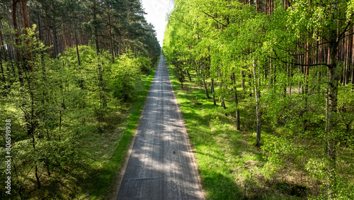Country road and green fore...