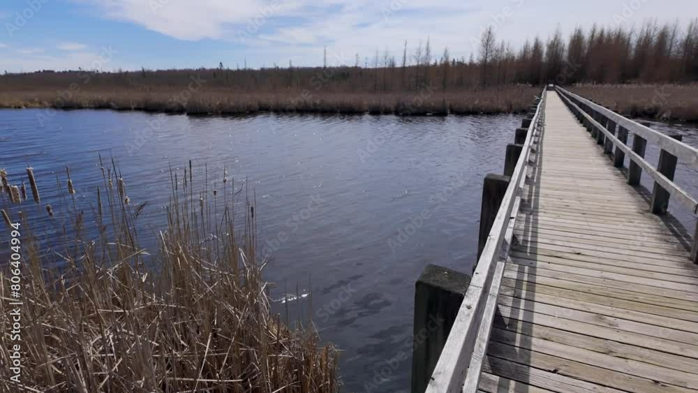 Mer Bleue National conservation area near Ottawa - travel photography Mer Bleue National conservation area near Ottawa - travel photography