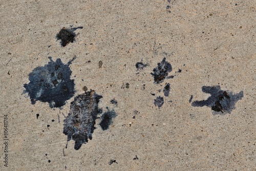 Bird berry poop stains on pavement birds dropping stain removal cleaning concept.
