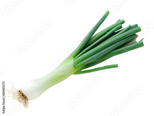 A Single Leek with a Transparent Background PNG