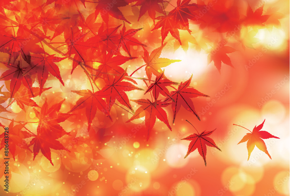 紅葉 葉 秋 背景 紅葉 葉 秋 背景
