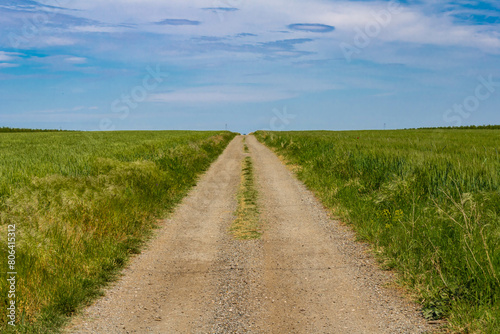 Field road, countryside landscape of Srem region, province of Vojvodina in north Serbia