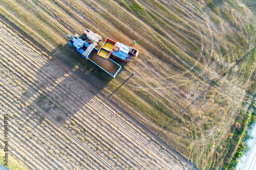 Directly above drone view. Potato Harvester unloads potatoes into a tractor with a trailer. Seasonal harvesting of potatoes.