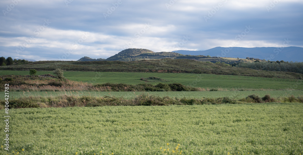 Obraz premium Expansive Green Fields with Distant Hills Under Cloudy Skies