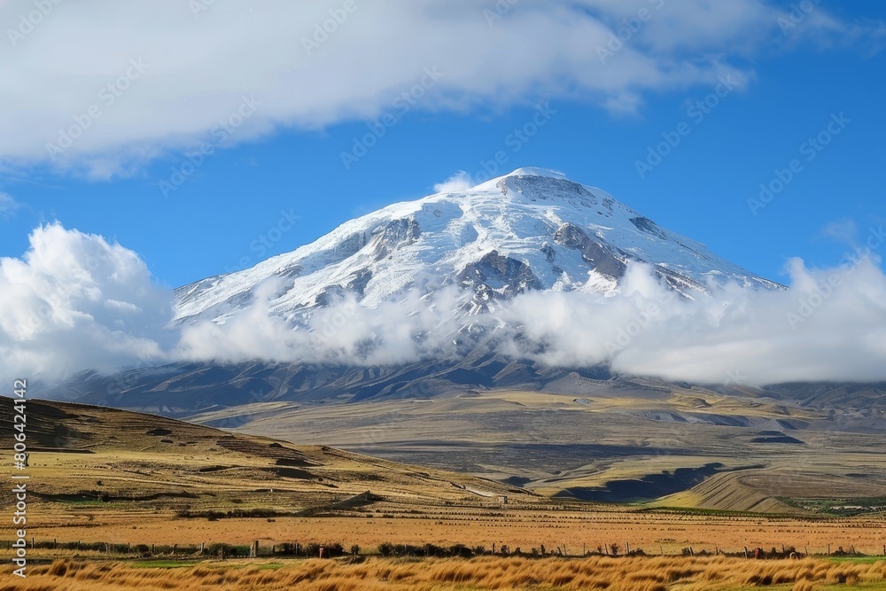 The snowcapped peak of the mountain, is visible against the blue sky with white clouds. The field below is covered in brown grass. Chimborazo Day.