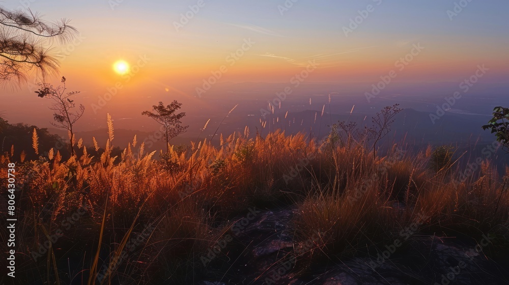 The fog in the mountains has a tree beside the panorama.