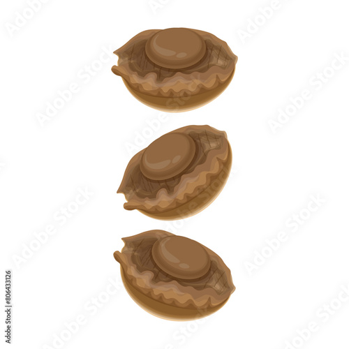 Vector Illustration logo levitation abalone