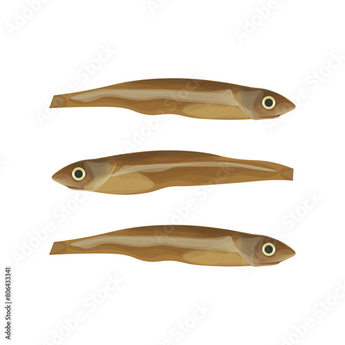 Vector illustration Logo Dried Anchovy isolated photo