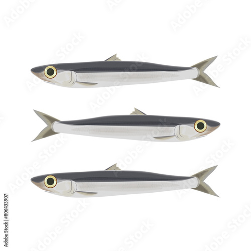 Vector Illustration logo Isolated Fresh anchovies 