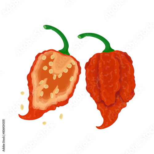 Vector Illustration logo Whole and half carolina reaper chili