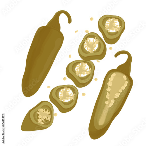 Vector Illustration logo Whole and slice Pickled jalapeno peppers photo