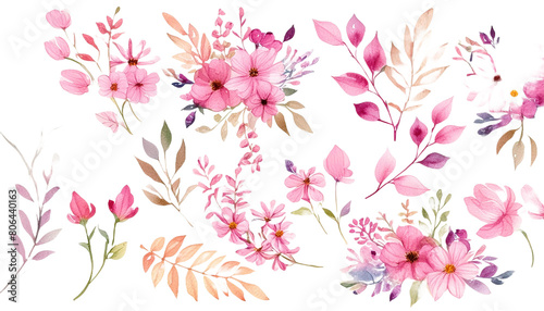 pink watercolor arrangements with flowers  set  bundle  bouquets with wildflowers  leaves  branches. Botanical illustration