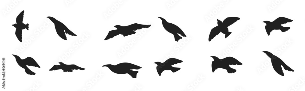 Obraz premium Silhouette flying bird background