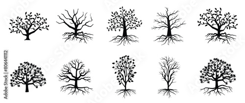 Trees with roots, foliage and fallen leaves isolated on white background. silhouette of tree