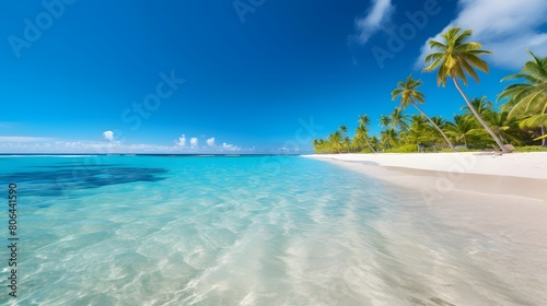 Panoramic view of beautiful tropical beach with turquoise water