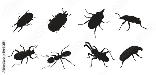 Insect silhouette collection