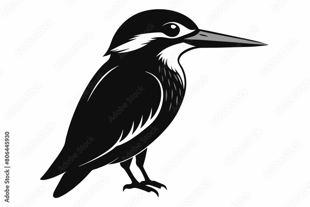 Fototapeta premium kingfisher silhouette on white background, Vector illustration, icon, svg, characters, Holiday t shirt, Hand drawn trendy Vector illustration, eagle silhouette