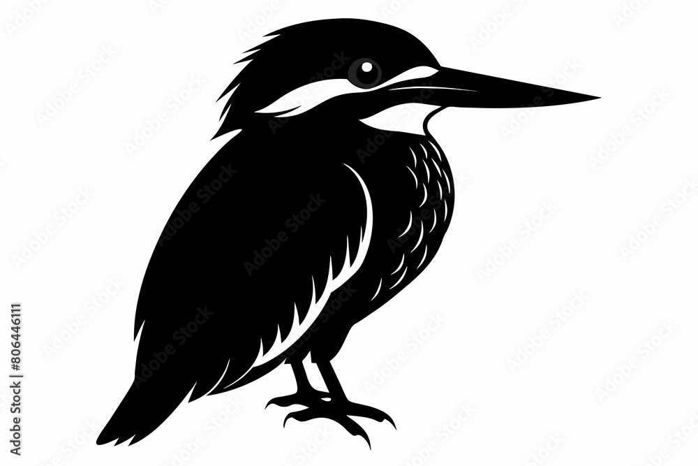 Fototapeta premium kingfisher silhouette on white background, Vector illustration, icon, svg, characters, Holiday t shirt, Hand drawn trendy Vector illustration, eagle silhouette