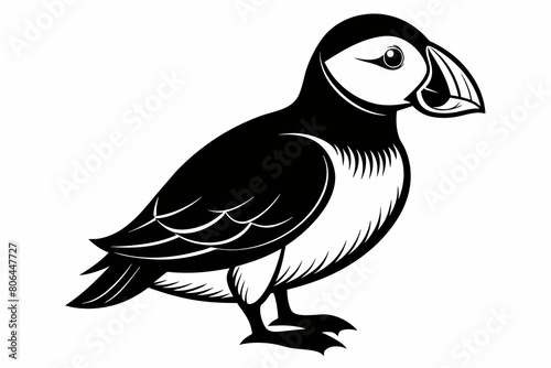 puffin silhouette on white background, Vector illustration, icon, svg, characters, Holiday t shirt, Hand drawn trendy Vector illustration, eagle silhouette