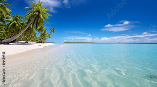 Panoramic view of a beautiful tropical beach with palm trees.