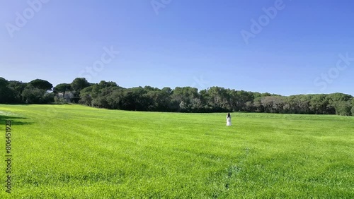 Aerial drone view of green meadow, woman with long dress walking in nature, 4K