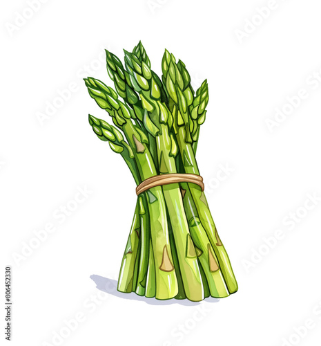 asparagus watercolor digital painting good quality