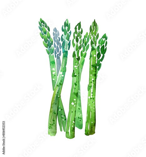 asparagus watercolor digital painting good quality