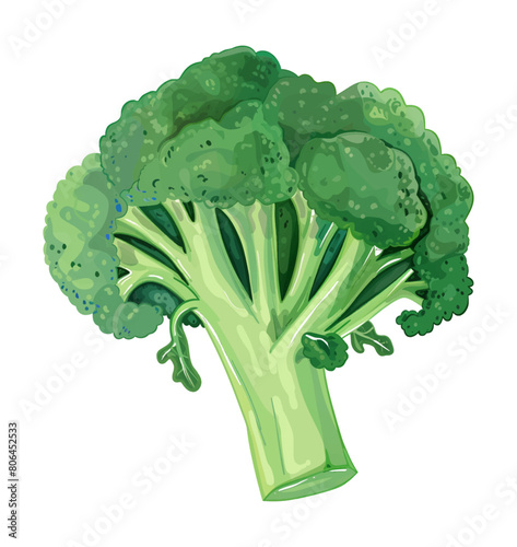 broccoli watercolor digital painting good quality