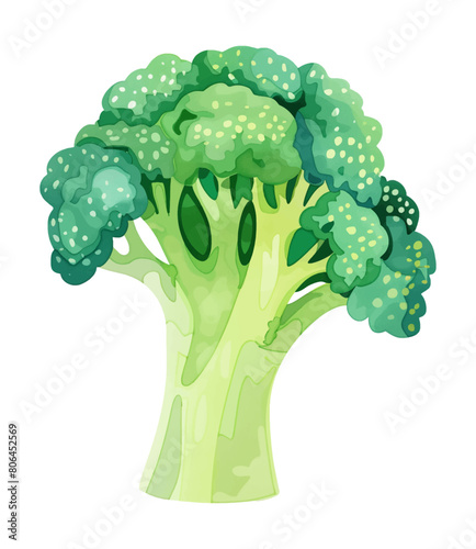 broccoli watercolor digital painting good quality