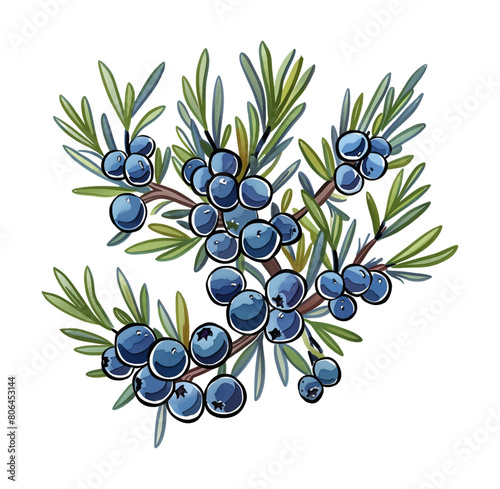 juniper watercolor digital painting good quality