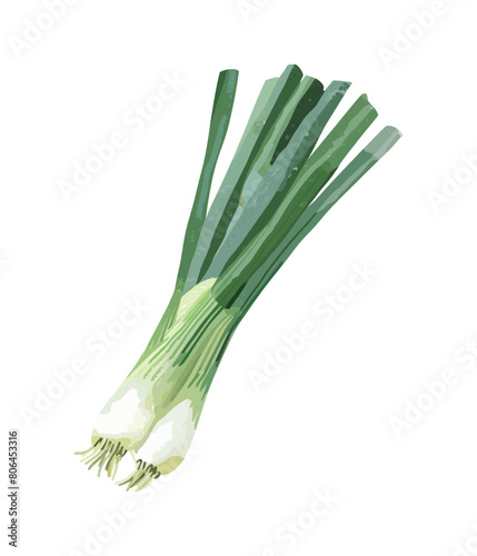 leek watercolor digital painting good quality