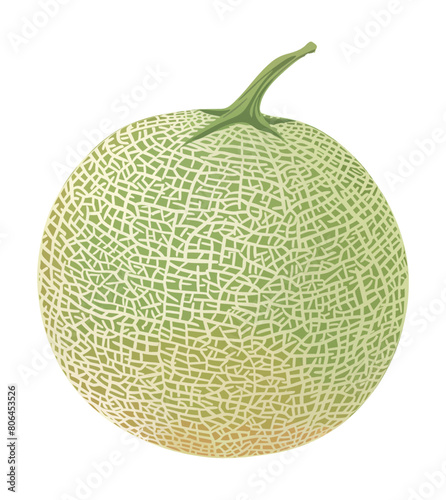 cantaloup emelon watercolor digital painting good quality
