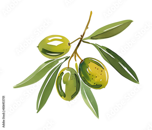 olive fruit watercolor digital painting good quality