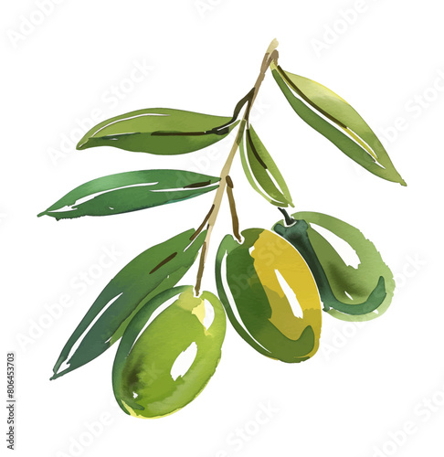 olive fruit watercolor digital painting good quality
