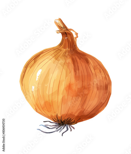 onion watercolor digital painting good quality