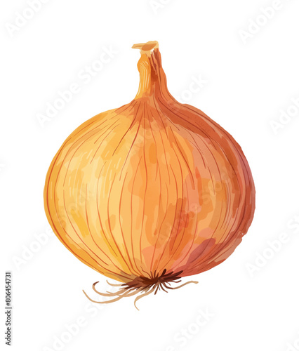 Wallpaper Mural onion watercolor digital painting good quality Torontodigital.ca
