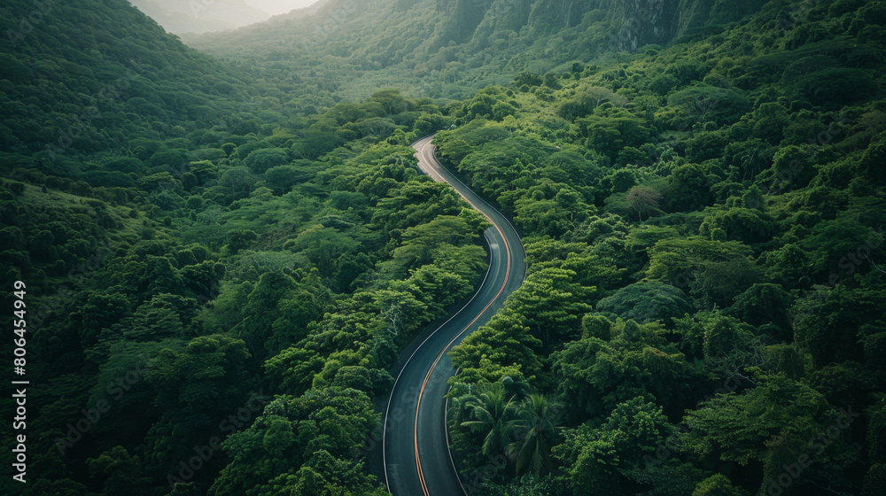 Winding highway in a green forest, an aerial view of a mountain road with an asphalted street through dense vegetation. An aerial photo of a winding curved road on the top of mountains Winding highway in a green forest, an aerial view of a mountain road with an asphalted street through dense vegetation. An aerial photo of a winding curved road on the top of mountains