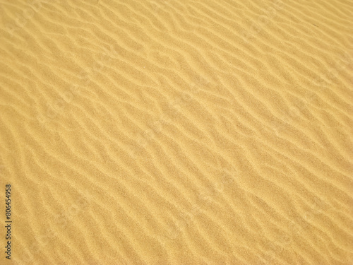 鳥取砂丘の砂紋