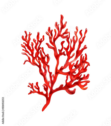seaweed red watercolor digital painting good quality