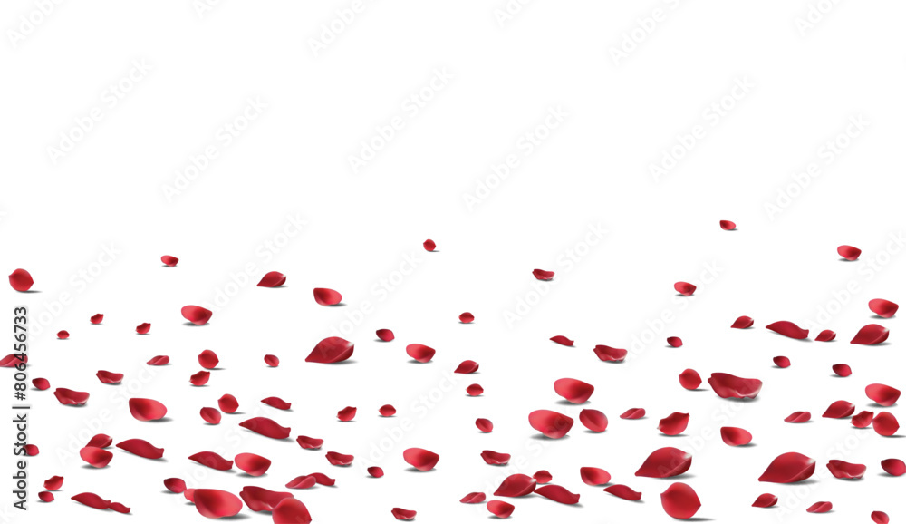 Falling Rose petals Vector illustration. Red rose petals on fake transparent Falling Rose petals Vector illustration. Red rose petals on fake transparent
