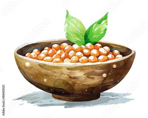bowl soy bean watercolor digital painting good quality