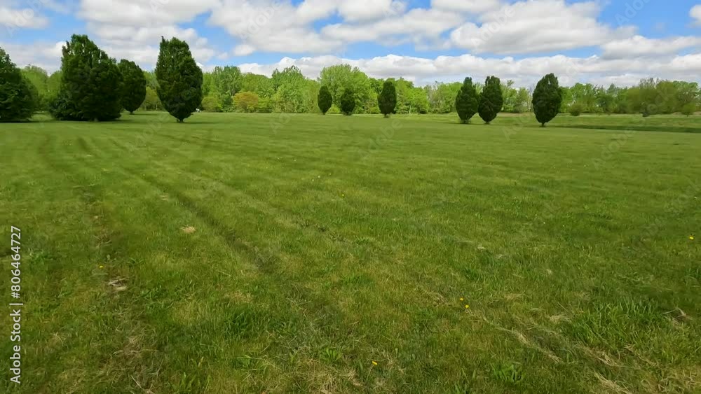 Beautiful summer or springtime scene walking through an open grassy green field that has been freshly mowed. Leafy green trees in the distance. Perfect cloudy blue sky above.