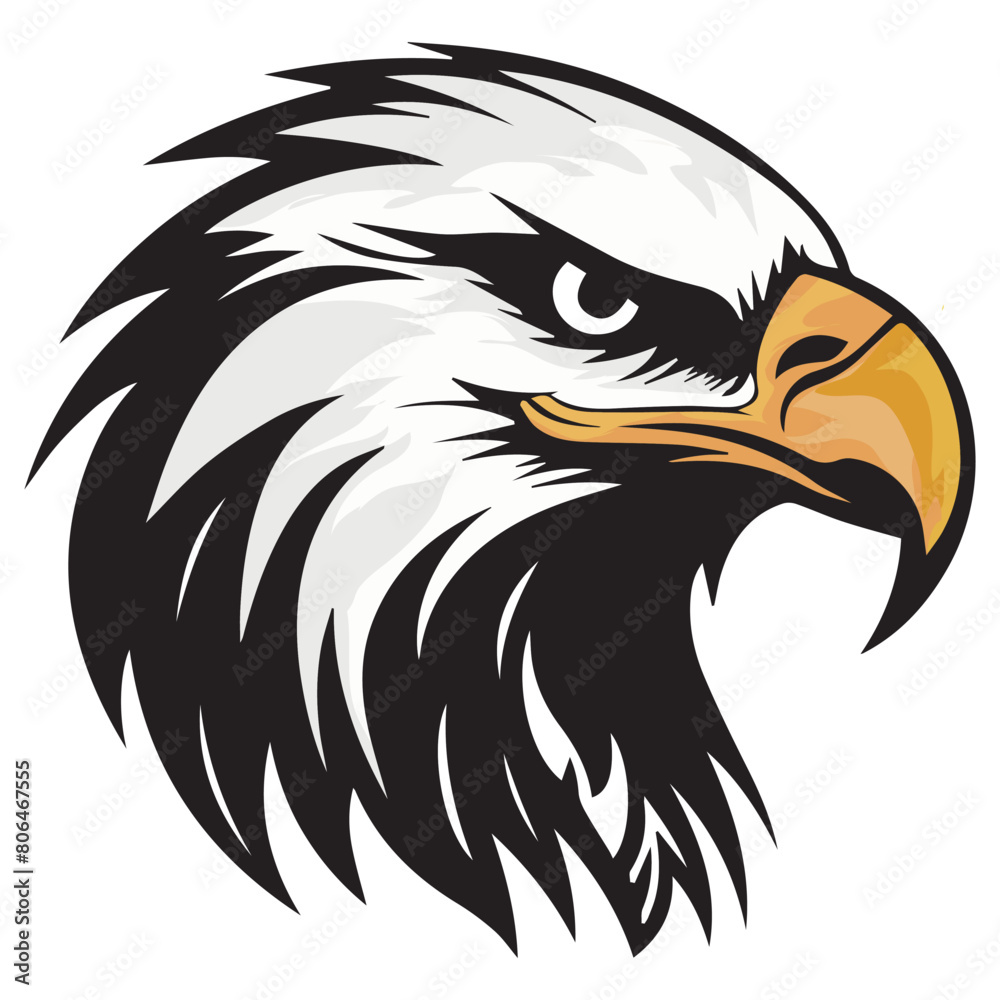 Obraz premium bald eagle vector