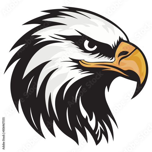 bald eagle vector