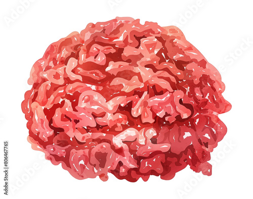 minced meat watercolor digital painting good quality