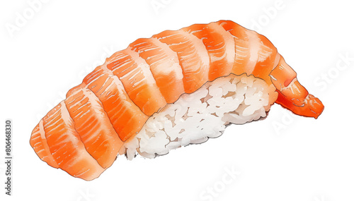 salmon sushi watercolor digital painting good quality