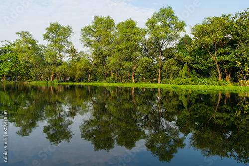 Natural park with trees and water sources for city people to relax and exercise in Thailand.